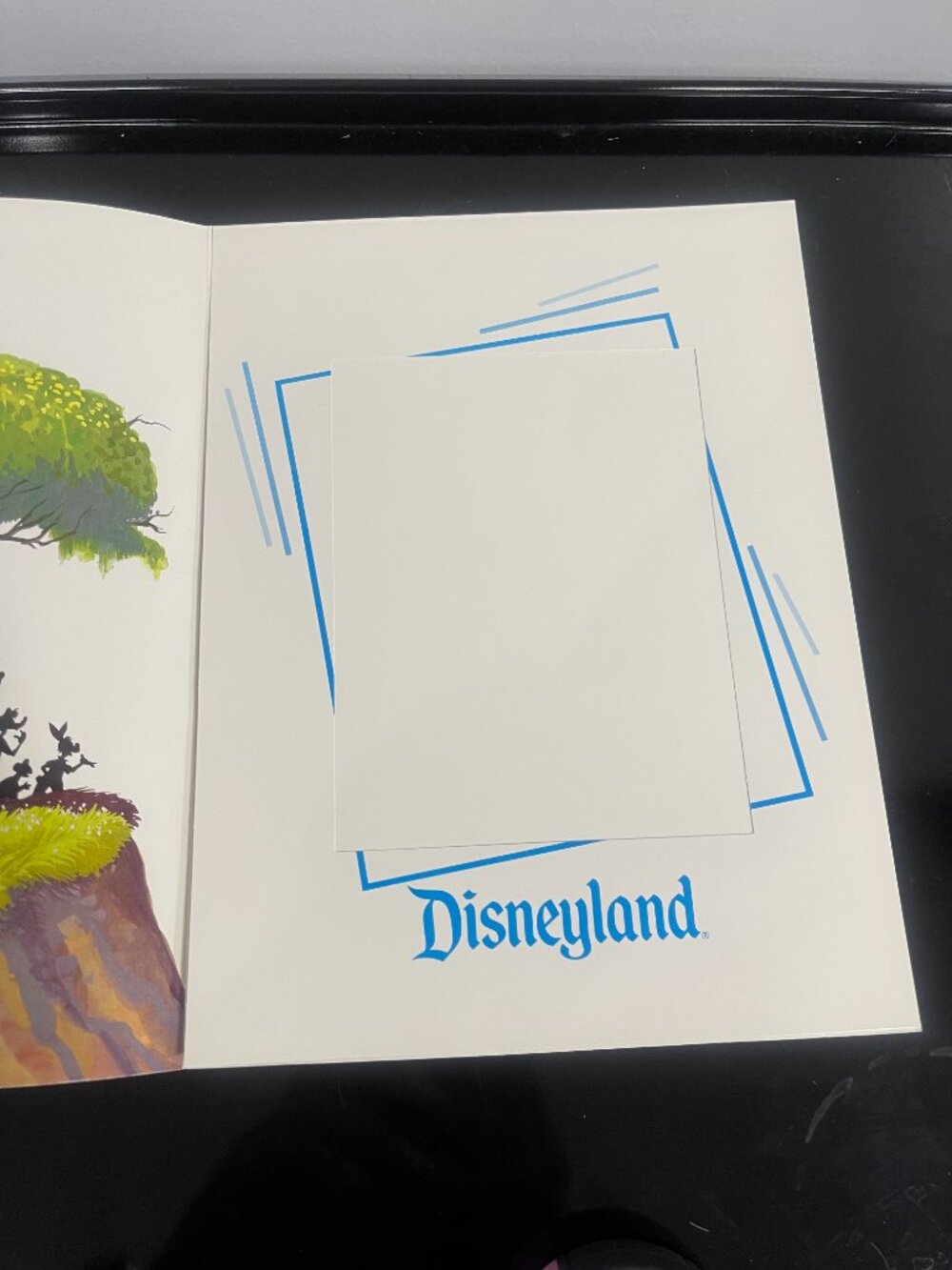 Disneyland Splash Mountain Ride Photo Frame Folder Disney Collectible - Picture 5 of 10